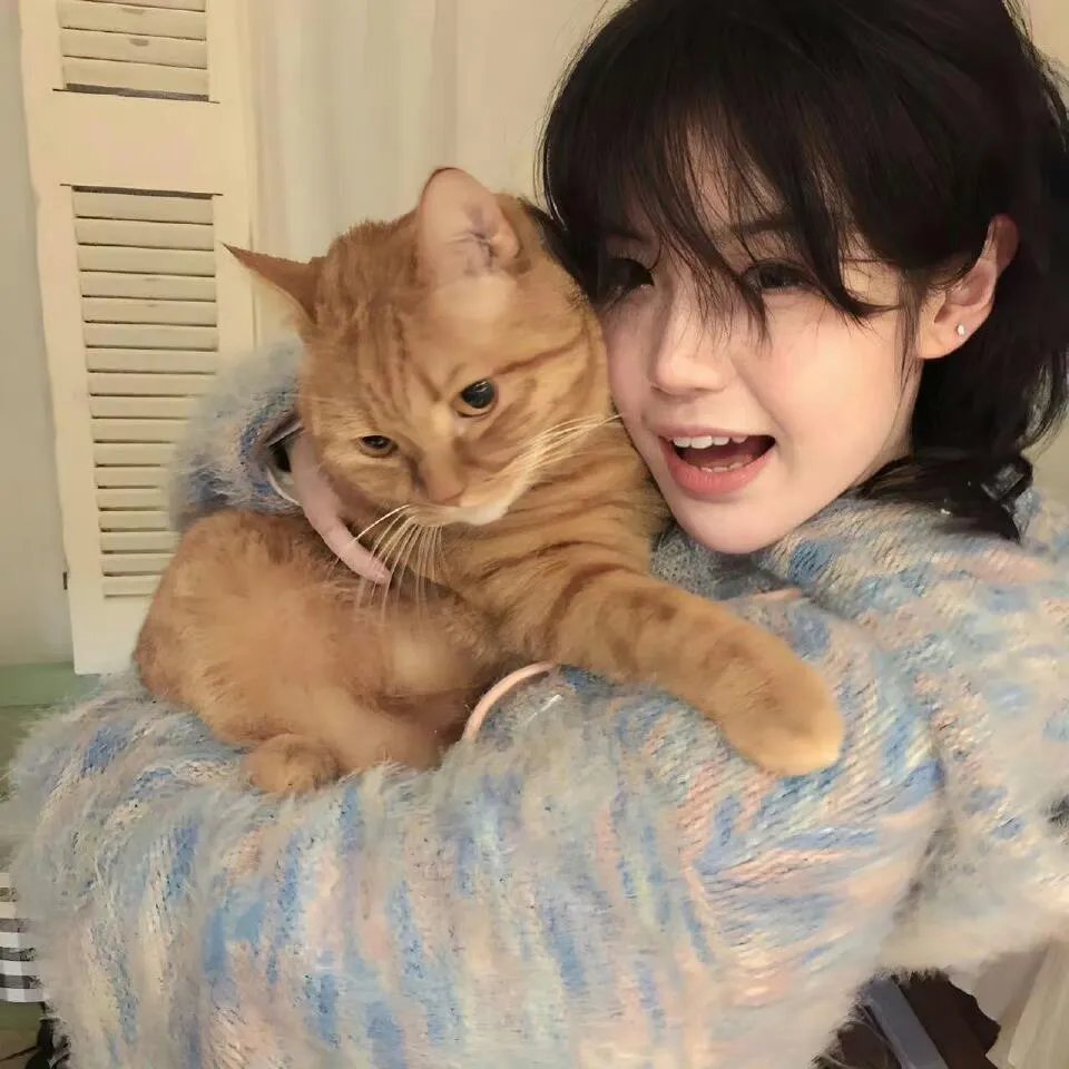 恋与偶像 第一季